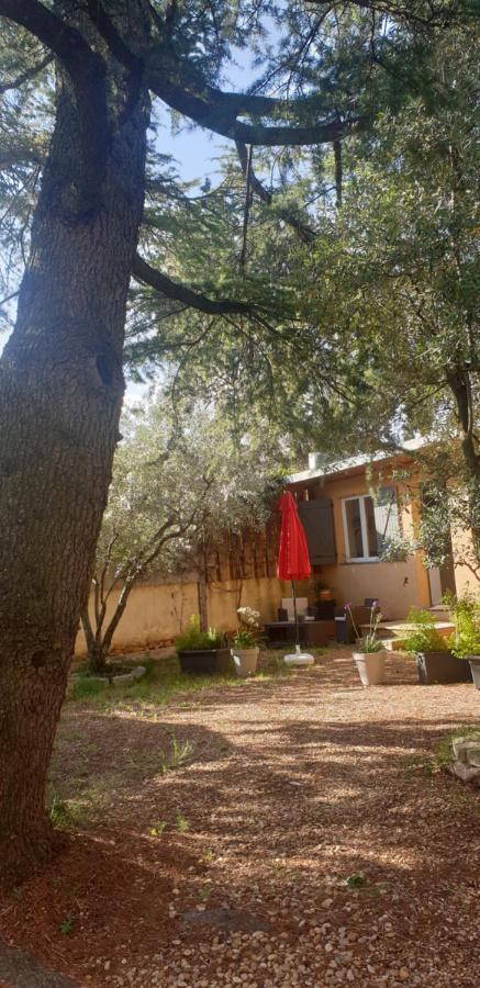 Apartamento La Vigne Et L'Olivier Villeneuve-lès-Avignon Exterior foto